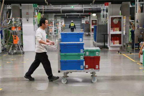 樂高小人回娘家 探秘嘉興工廠——原來有一群人的工作是搭積木？